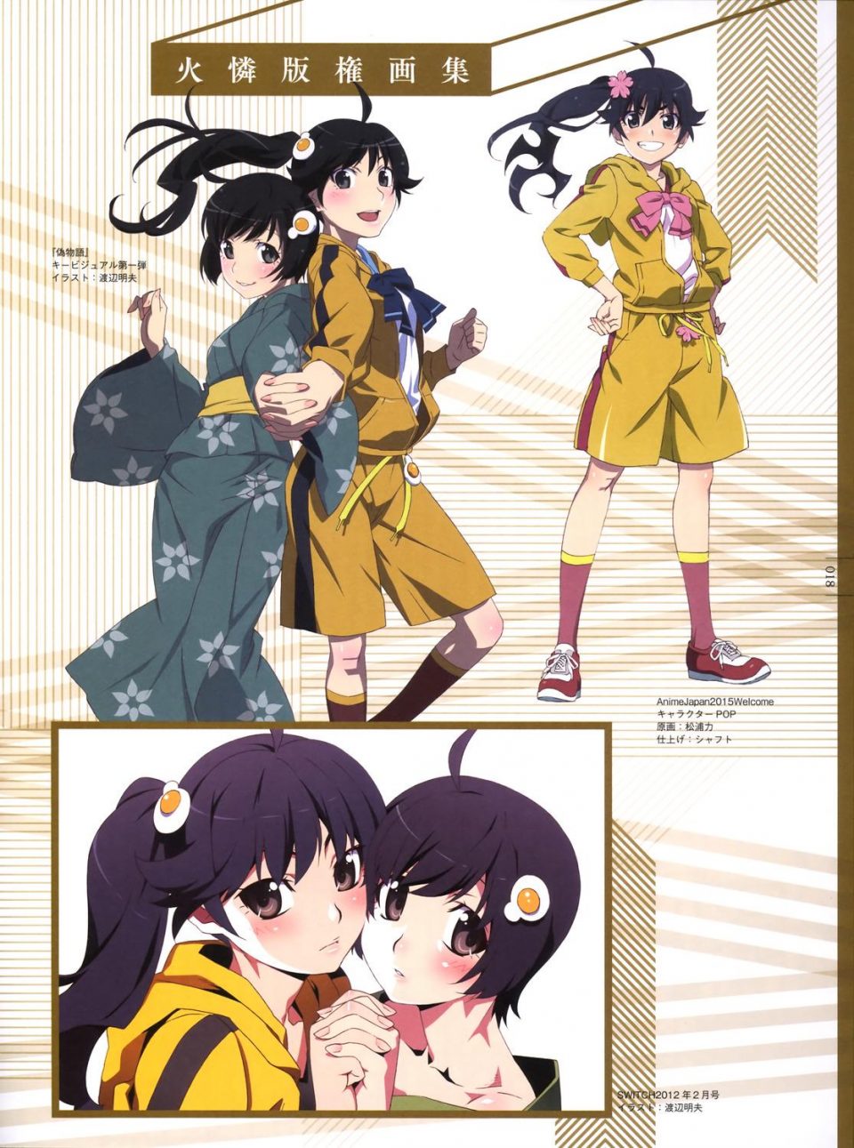 Monogatari Series Heroine Book Fire Sisters